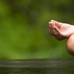 Yoga in the Gardens