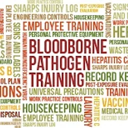 Blood Borne Pathogens
