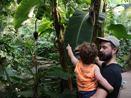 Celebrate Father’s Day at the Zoo