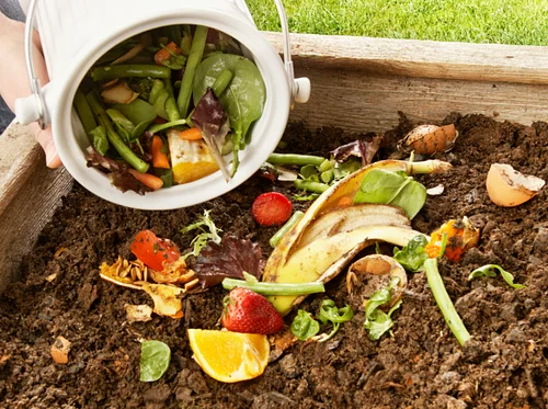 Compost Workshop