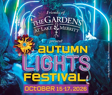 Autunm Lights Festival