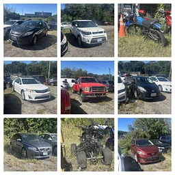 Norfolk Police Auction