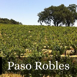 Wine 101: Wines of Paso Robles