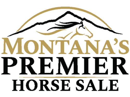 Big Sky Events Arena: Montana’s Premier Horse Sale