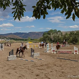 Hunter/Jumper Course Design Clinic