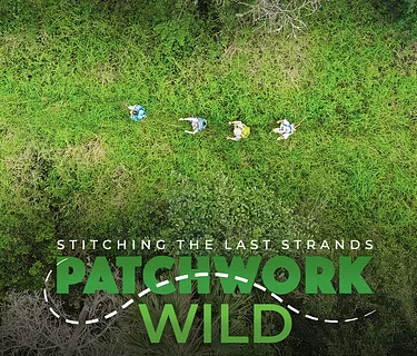 Stitching the Last Strands – Reconnecting Florida