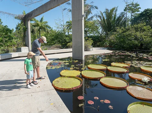Explore the Garden with Dad!