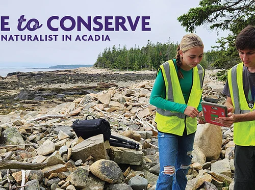 Observe to Conserve: Learning iNaturalist in Acadia (8/7)