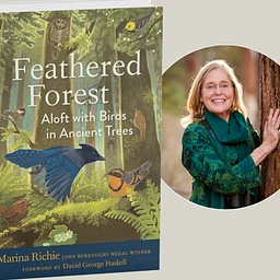 Book Launch with Marina Richie @ Dudley\'s Bookshop Cafe