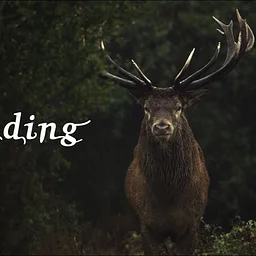 Reel Talk Film Class: Wilding