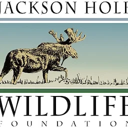 Jackson Hole Wildlife Foundation