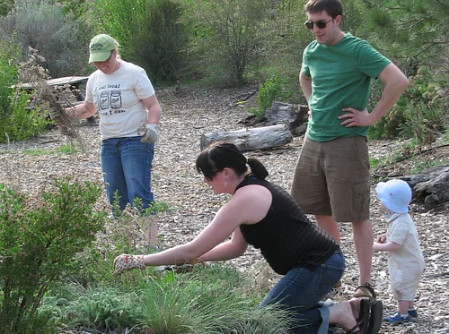 Dig Your Own Native Shrubs