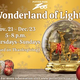 Wonderland of Lights