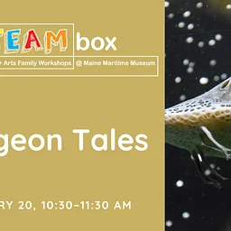 STEAMbox Family Workshop: Sturgeon Tales