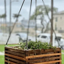 Hanging Planter – Workshop