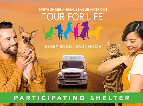 Bergen County Animal Shelter at PetSmart, Brick