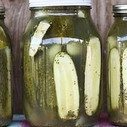 Pickles 101