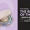 THE BIRTH OF THE PILL by Jessica Huang