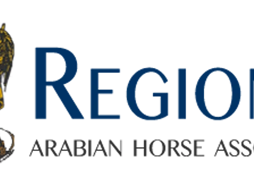 Region 2, Arabian Horse Show