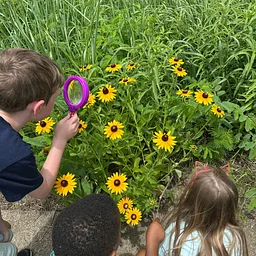 https://fwbg.org/full-calendar/little-b-i-t-s-botanists-in-training-nature-club-9/