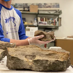 Insider Science Tour: Paleontology