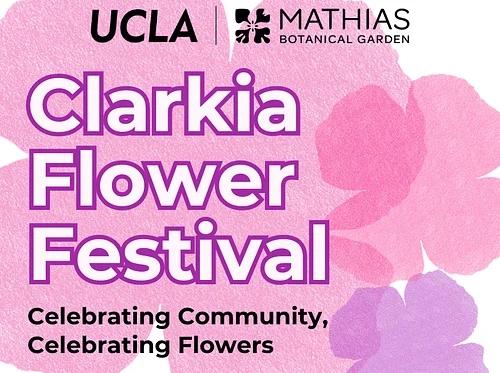 Clarkia Flower Festival
