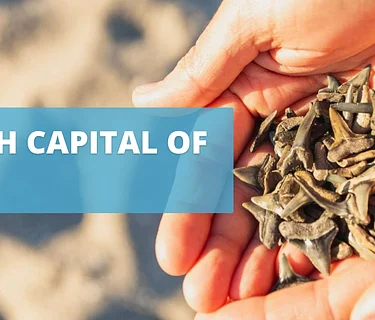 CANCELLED: Friday Night Concert Series