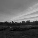 Cote Winery