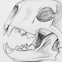Intermediate Drawing