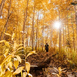 Landscape Photography with Tamara Susa