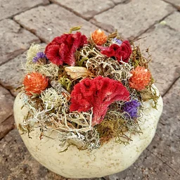 Dried Floral Pumpkins