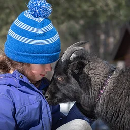 Vacation Drop-Off Day: Animals in Winter