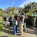 Bird Curious: Birding in the Garden