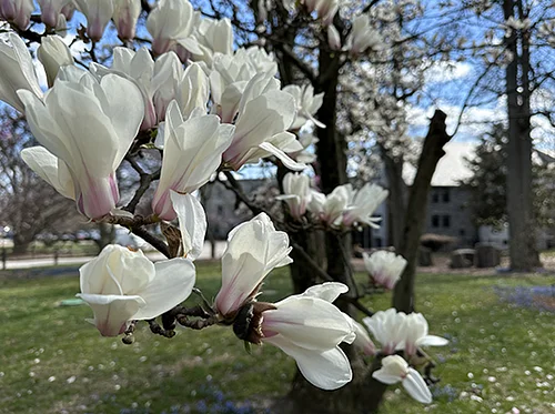 In-Person Highlights Tour: First Day of Spring