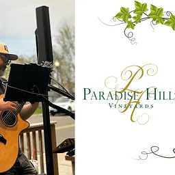 Live Music with Dave Crispino