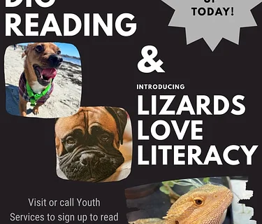 Lizards Love Literacy