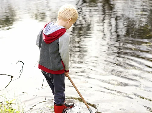 Stream Hunters