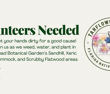 Mead Botanical Garden Restoration Volunteers