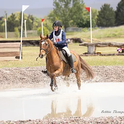 Fall Derby At The Park