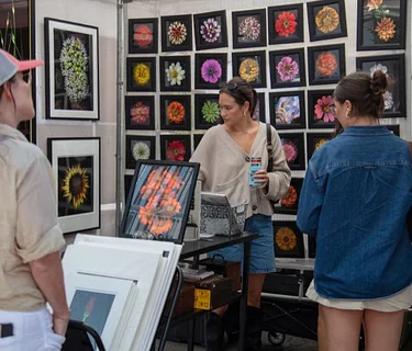 2026 Saint Louis Art Fair