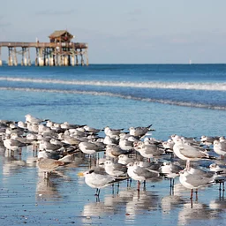 Cocoa Beach – NASA Kennedy Space Center FL 2027November 10 - 12, 2027