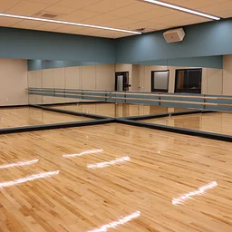 Seated Stretching for Seniors