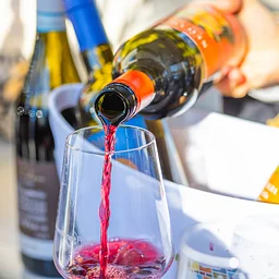 Winederlust: Charleston Wine + Food Festival