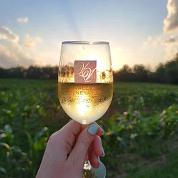 Valley Vineyards