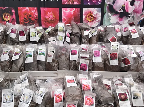 Bloom Flower & Home Market - Burlington, VT