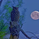 Moonlight Hike with Kelly Orr and Gerri Griswold