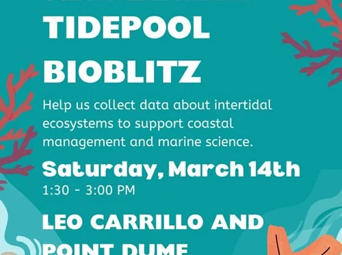 Tidepool Bioblitz with UCLA