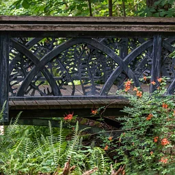 Native Shrubs for Resilient Landscapes (virtual)