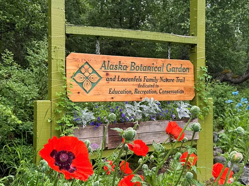 Discovery Table- Native Plants and Pollinators