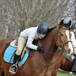 Horseback Riding Lessons